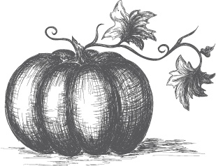 Иллюстрация к книге — Большая энциклопедия садовода-огородника от А до Я [_63.jpg]