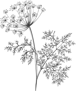 Иллюстрация к книге — Большая энциклопедия садовода-огородника от А до Я [_64.jpg]