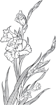 Иллюстрация к книге — Большая энциклопедия садовода-огородника от А до Я [_78.jpg]