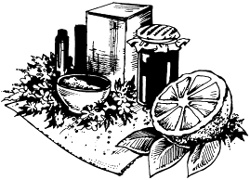 Иллюстрация к книге — Дом без химии [autogen_ebook_id56.jpg]