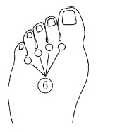 Иллюстрация к книге — Путь к здоровью от Травинки [autogen_ebook_id2.jpg]