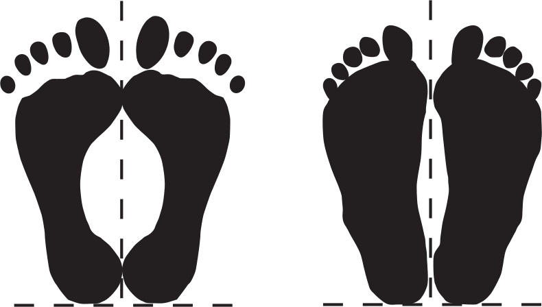 Иллюстрация к книге — От нуля до букваря [i_045.jpg]