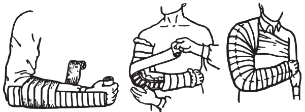 Иллюстрация к книге — Основы медицинских знаний. Учебное пособие [i_004.jpg]