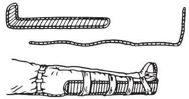 Иллюстрация к книге — Основы медицинских знаний. Учебное пособие [i_007.jpg]