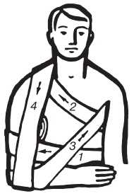 Иллюстрация к книге — Основы медицинских знаний. Учебное пособие [i_009.jpg]