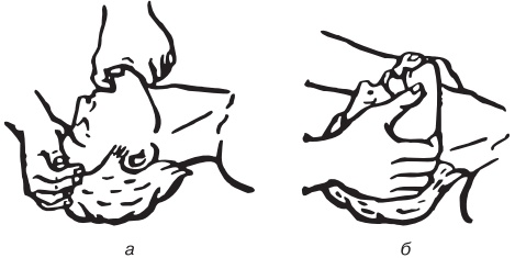 Иллюстрация к книге — Основы медицинских знаний. Учебное пособие [i_023.jpg]