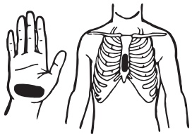 Иллюстрация к книге — Основы медицинских знаний. Учебное пособие [i_024.jpg]