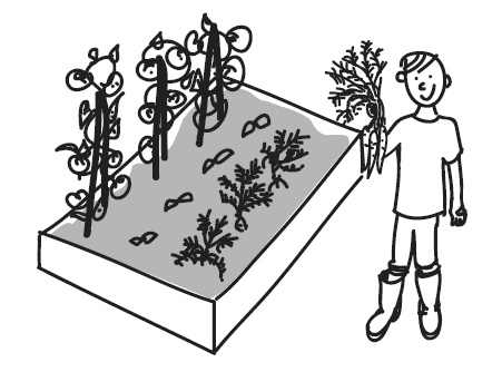 Иллюстрация к книге — Краткий гид по долгой жизни [i_008.jpg]