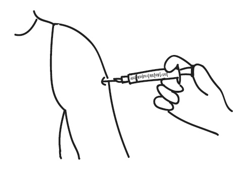 Иллюстрация к книге — Краткий гид по долгой жизни [i_015.jpg]