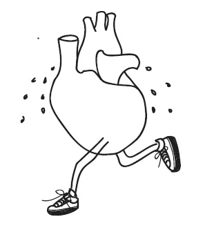 Иллюстрация к книге — Краткий гид по долгой жизни [i_018.jpg]