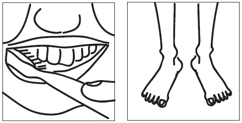 Иллюстрация к книге — Краткий гид по долгой жизни [i_036.jpg]