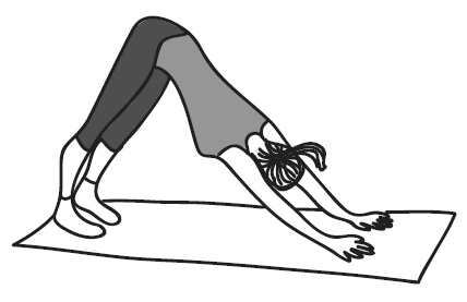 Иллюстрация к книге — Краткий гид по долгой жизни [i_046.jpg]