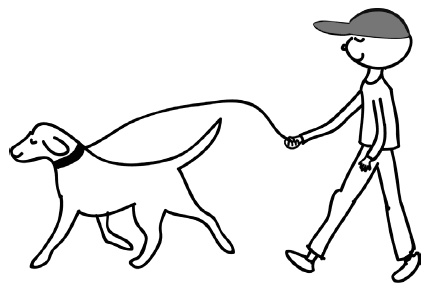 Иллюстрация к книге — Краткий гид по долгой жизни [i_051.jpg]