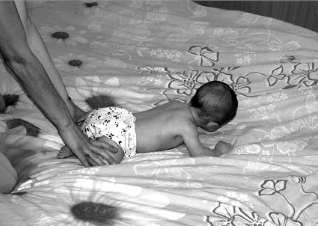 Иллюстрация к книге — Чудо-ребенок с самых пеленок. Пошаговая методика развития ребенка [i_011.jpg]