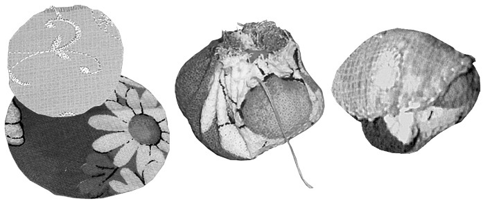 Иллюстрация к книге — Чудо-ребенок с самых пеленок. Пошаговая методика развития ребенка [i_020.jpg]