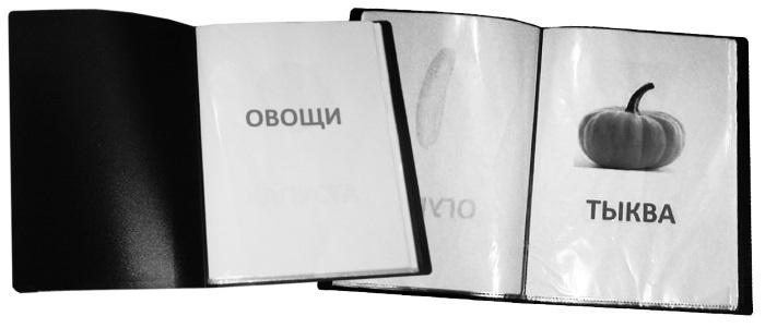 Иллюстрация к книге — Чудо-ребенок с самых пеленок. Пошаговая методика развития ребенка [i_025.jpg]