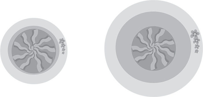 Иллюстрация к книге — Лишний вес – из головы! Диета для умных [autogen_ebook_id21.jpg]