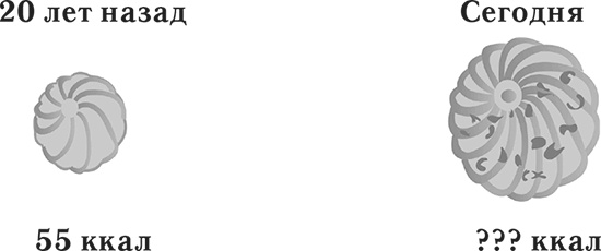 Иллюстрация к книге — Лишний вес – из головы! Диета для умных [autogen_ebook_id27.jpg]