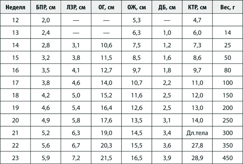 Иллюстрация к книге — 9 месяцев счастья. Настольное пособие для беременных женщин [i_002.jpg]