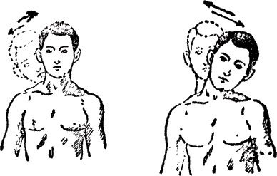 Иллюстрация к книге — Великая формула здоровья. Уникальный семинар автора, который помог миллионам [i_006.jpg]