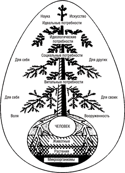 Иллюстрация к книге — Великая формула здоровья. Уникальный семинар автора, который помог миллионам [i_015.jpg]