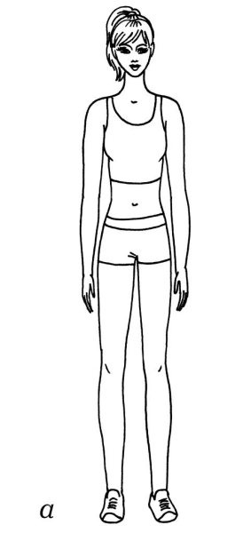 Иллюстрация к книге — Омоложение. Краткая энциклопедия [i_008.jpg]