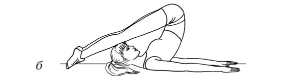 Иллюстрация к книге — Омоложение. Краткая энциклопедия [i_017.jpg]