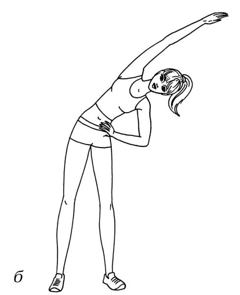 Иллюстрация к книге — Омоложение. Краткая энциклопедия [i_023.jpg]