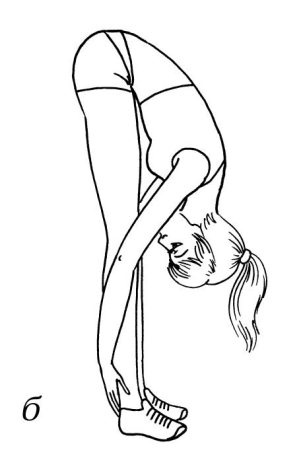 Иллюстрация к книге — Омоложение. Краткая энциклопедия [i_029.jpg]