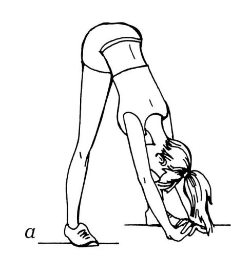 Иллюстрация к книге — Омоложение. Краткая энциклопедия [i_032.jpg]