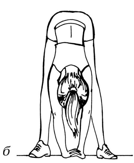 Иллюстрация к книге — Омоложение. Краткая энциклопедия [i_033.jpg]