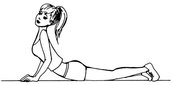 Иллюстрация к книге — Омоложение. Краткая энциклопедия [i_037.jpg]