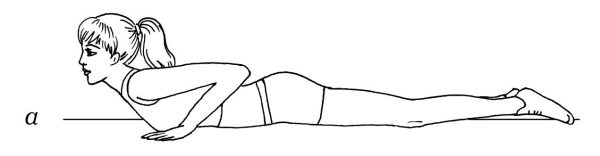 Иллюстрация к книге — Омоложение. Краткая энциклопедия [i_062.jpg]