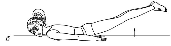 Иллюстрация к книге — Омоложение. Краткая энциклопедия [i_065.jpg]