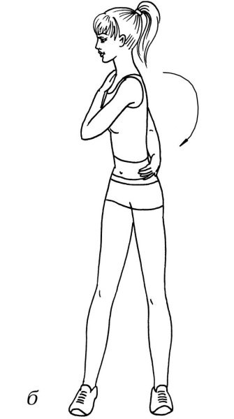 Иллюстрация к книге — Омоложение. Краткая энциклопедия [i_077.jpg]