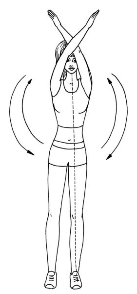 Иллюстрация к книге — Омоложение. Краткая энциклопедия [i_088.jpg]