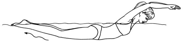 Иллюстрация к книге — Омоложение. Краткая энциклопедия [i_094.jpg]