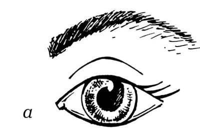 Иллюстрация к книге — Омоложение. Краткая энциклопедия [i_121.jpg]