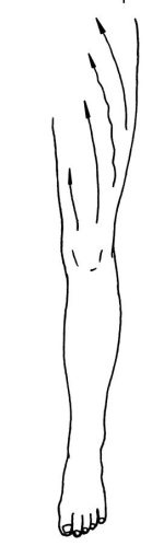 Иллюстрация к книге — Омоложение. Краткая энциклопедия [i_140.jpg]