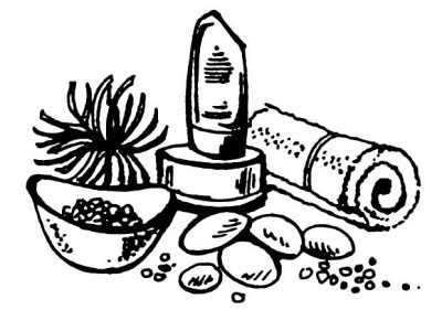 Иллюстрация к книге — Омоложение. Краткая энциклопедия [i_149.jpg]