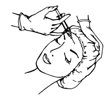 Иллюстрация к книге — Омоложение. Краткая энциклопедия [i_150.jpg]