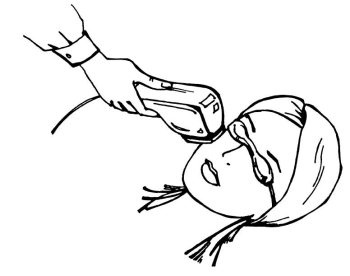 Иллюстрация к книге — Омоложение. Краткая энциклопедия [i_151.jpg]