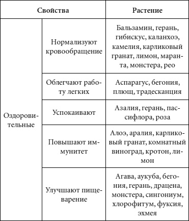Иллюстрация к книге — Целительные свойства комнатных растений [autogen_ebook_id60.jpg]