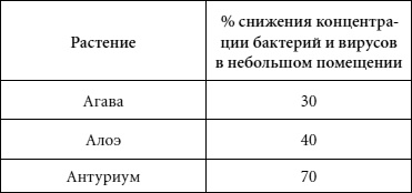 Иллюстрация к книге — Целительные свойства комнатных растений [autogen_ebook_id63.jpg]