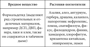 Иллюстрация к книге — Целительные свойства комнатных растений [autogen_ebook_id66.jpg]