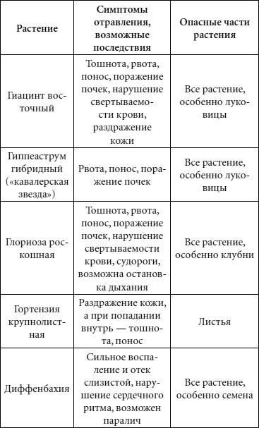 Иллюстрация к книге — Целительные свойства комнатных растений [autogen_ebook_id72.jpg]