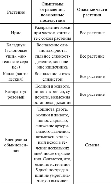 Иллюстрация к книге — Целительные свойства комнатных растений [autogen_ebook_id73.jpg]