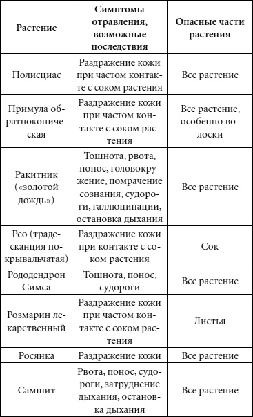Иллюстрация к книге — Целительные свойства комнатных растений [autogen_ebook_id77.jpg]
