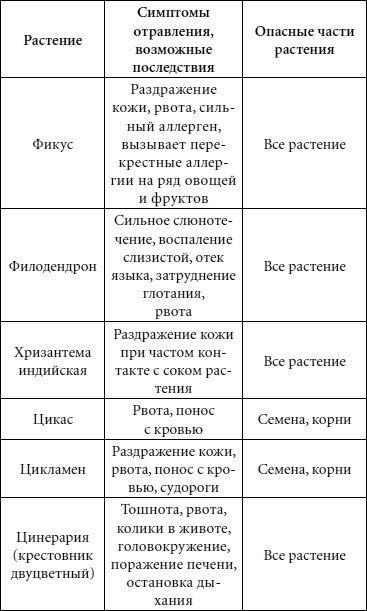 Иллюстрация к книге — Целительные свойства комнатных растений [autogen_ebook_id79.jpg]