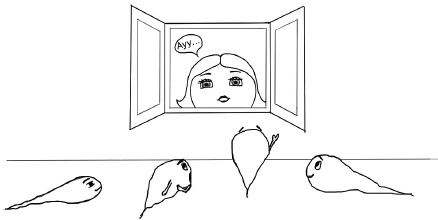 Иллюстрация к книге — Главная книга о женском здоровье [i_040.jpg]